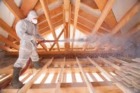 Best Insulation Removal  in Georgetown, CA