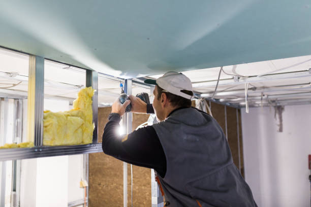 Best Batt and Roll Insulation  in Georgetown, CA