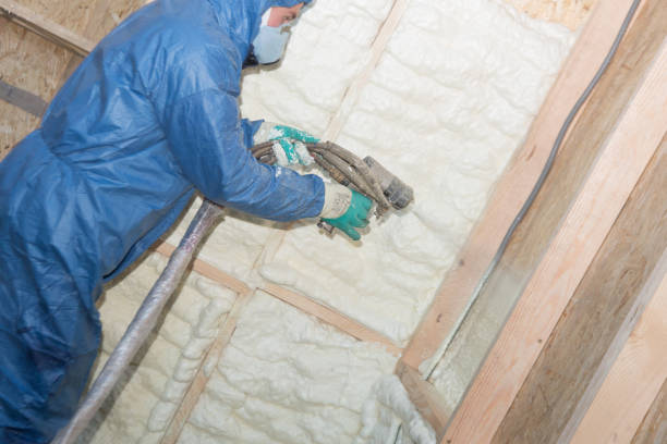 Best Reflective Insulation  in Georgetown, CA